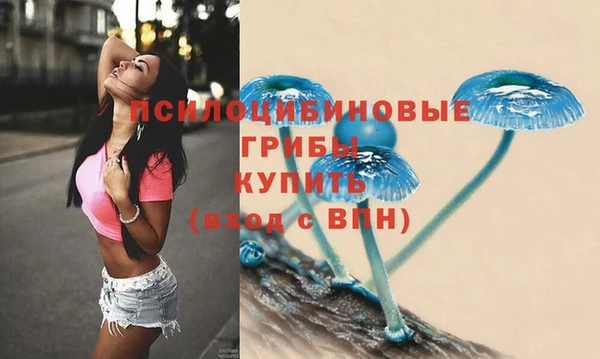 метадон Алексеевка